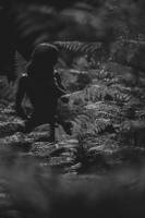 Guillaume CACHEUX - CACHPROD