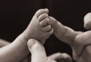 Pauline BARBAUT - BARBAUT PAULINE