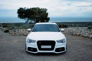 Noémy SMECICAS - SMECICAS NOEMY